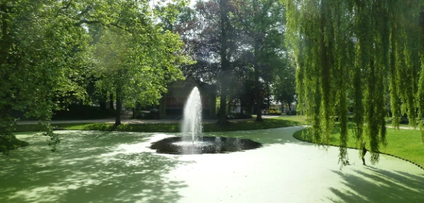 Hemel op aarde livestream-viering en wandeling